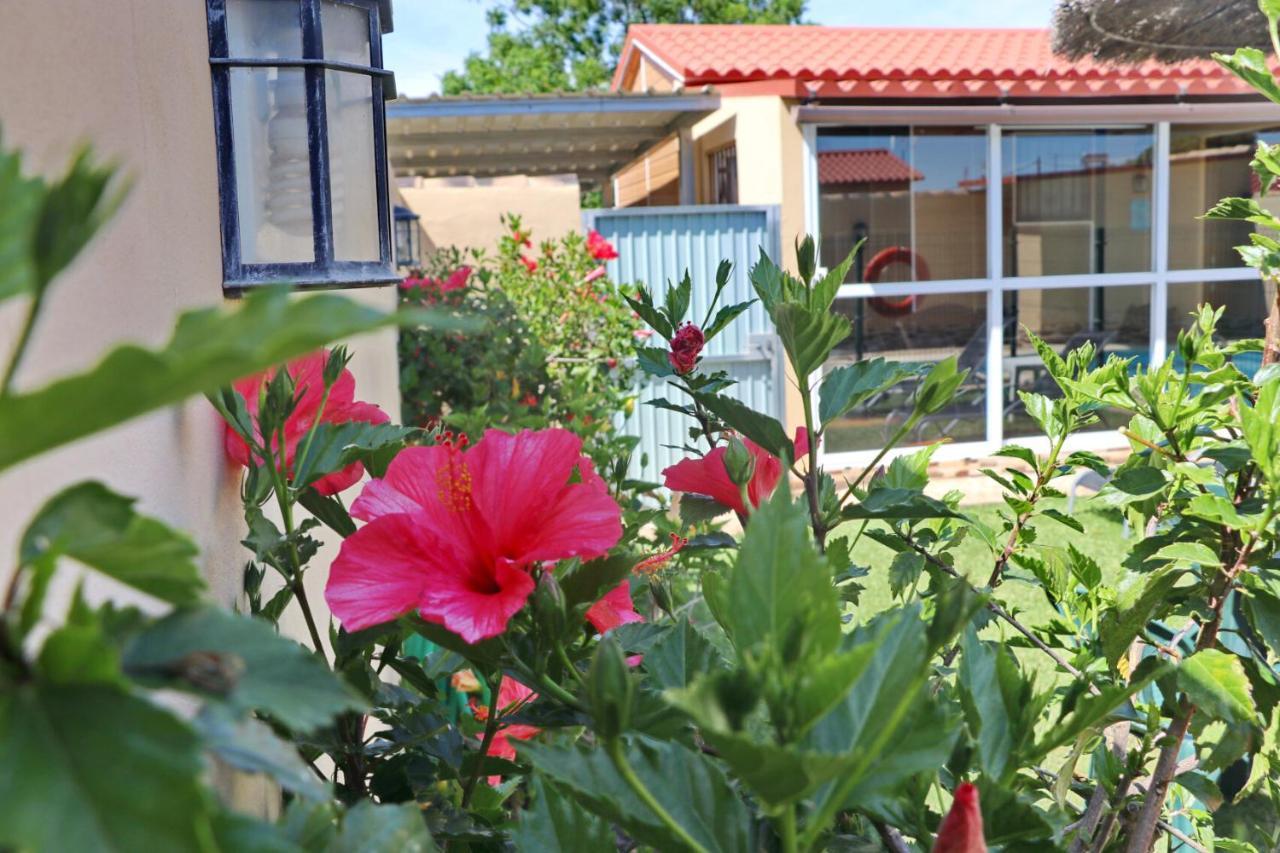 Bungalow Curro Pareja 97 Conil De La Frontera Eksteriør bilde